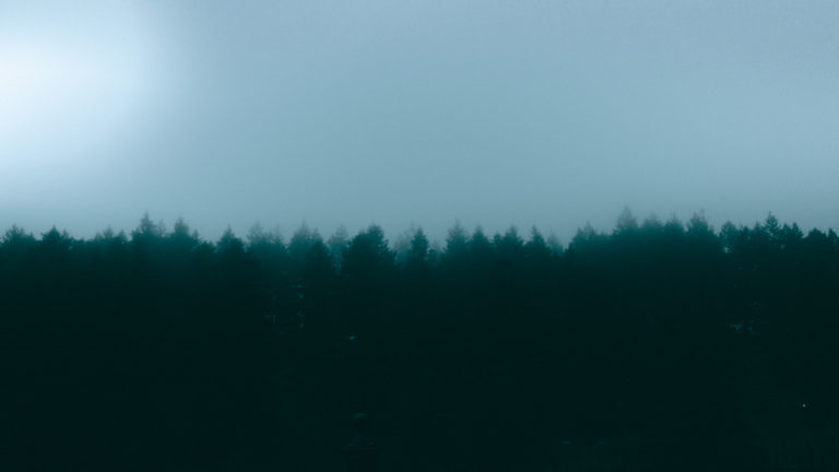 Mt.TaborTrees