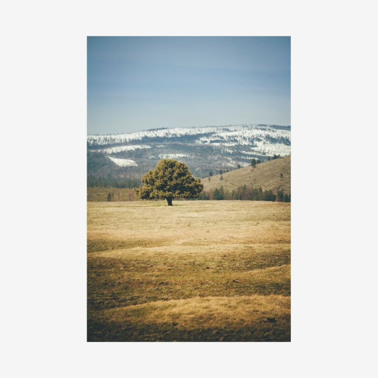 Mountain Bend 4